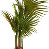 CASA Areca Palmera Verde Online