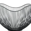 CASA Aster Frutero Negro Online