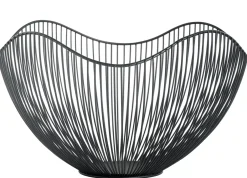 CASA Aster Frutero Negro Hot