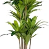 CASA Brazi Planta Verde Online