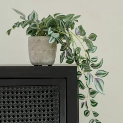 CASA Calathea Planta Colgante Gris, Verde, Morado