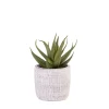 CASA Cement Planta Artificial Gris Clearance