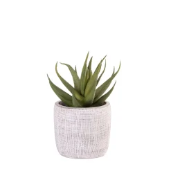 CASA Cement Planta Artificial Gris Clearance