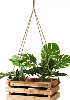 CASA Crate Caja Natural Online