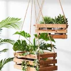 CASA Crate Caja Natural Online