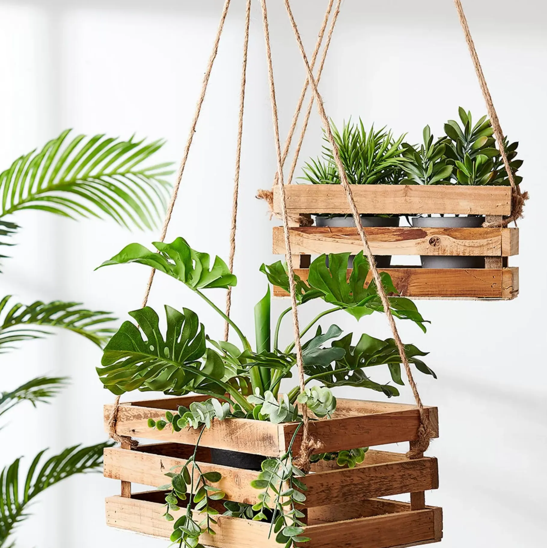CASA Crate Caja Natural Online