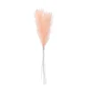 CASA Ecru Plumas Decorativas Marron Claro Online