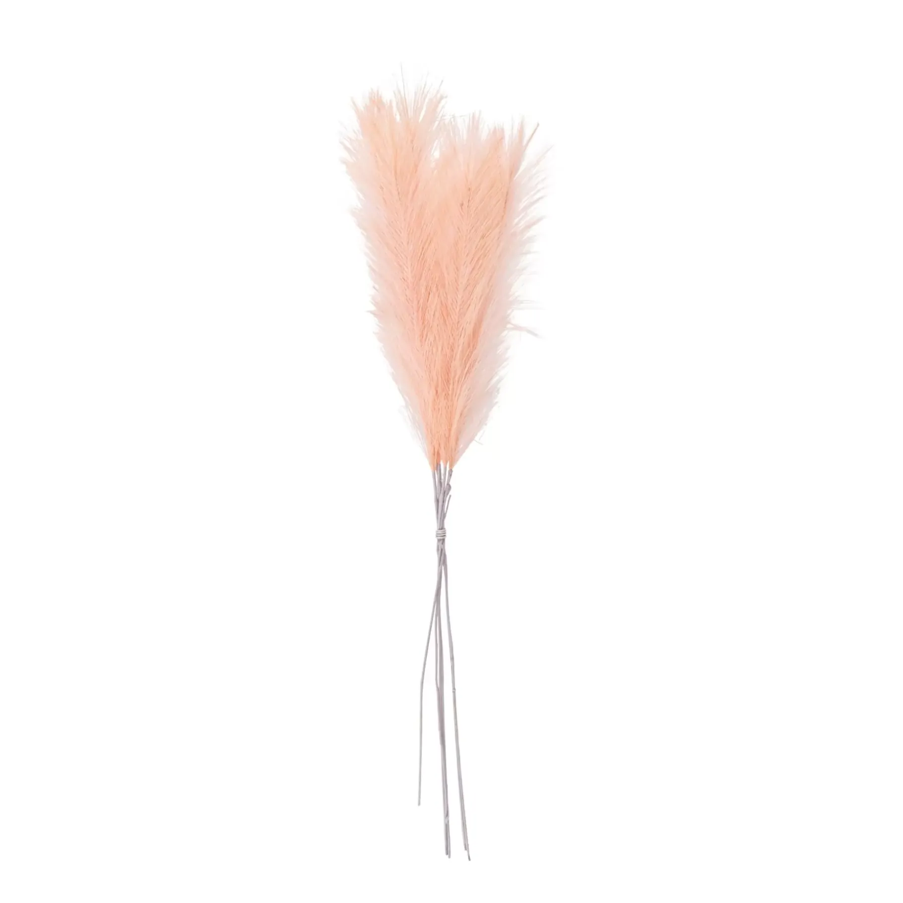 CASA Ecru Plumas Decorativas Marron Claro Online
