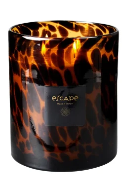 CASA Escape Black Oudh Negro, Marron, Ocre New