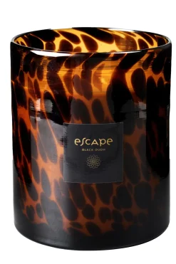CASA Escape Black Oudh Negro, Marron, Ocre New