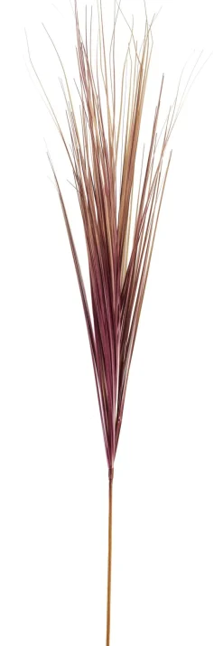 CASA Grass Haz De Hierba Rojo Best