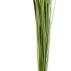 CASA Grass Haz De Hierba Verde Clearance