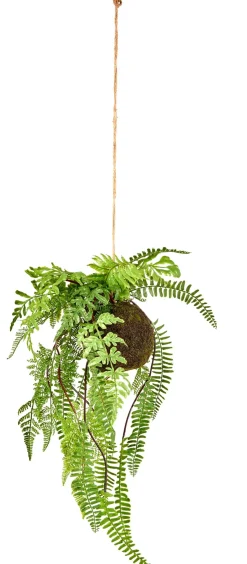 CASA Greenery Macetero Colgante Con Helecho Verde Best