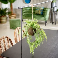 CASA Greenery Macetero Colgante Con Helecho Verde Best