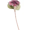 CASA Hydrangea Hortensia Burdeos New