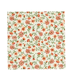 CASA Irma Paquete De 20 Servilletas Multicolor New