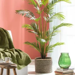 CASA Kwai Palma Verde Discount