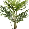 CASA Kwai Palmera Verde Hot