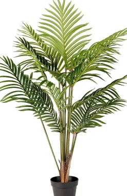 CASA Kwai Palmera Verde Hot