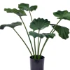 CASA Lotus Planta Verde Online