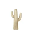 CASA Magnesia Cactus Crema Best