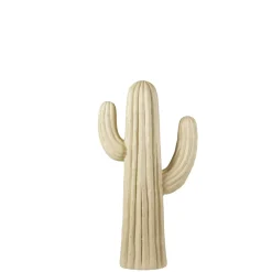 CASA Magnesia Cactus Crema Best