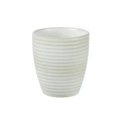 CASA Masterchef Taza Beis Sale