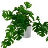CASA Monstera Planta Varios Colores, Blanco, Verde Online