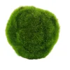 CASA Moss Bola De Musgo Verde