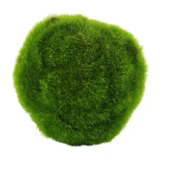 CASA Moss Bola De Musgo Verde