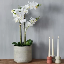 CASA Orchid Orquidea En Maceta Blanco Outlet