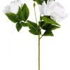 CASA Peony Rosa Peonia Blanco Best