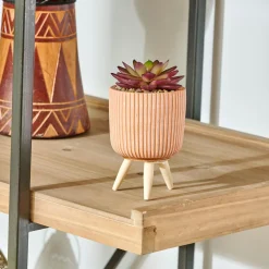 CASA Stripe Planta Crasa Art En Tarro Multicolor Clearance