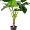 CASA Taro Planta Artificial Aro Verde Clearance