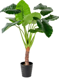 CASA Taro Planta Artificial Aro Verde Clearance