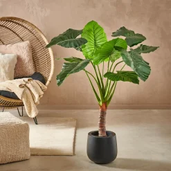 CASA Taro Planta Artificial Aro Verde Clearance