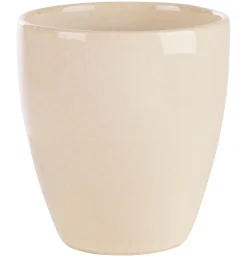CASA Toko Sand Taza Beis Hot