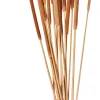 CASA Typha Canas Juego De 15 Natural Sale