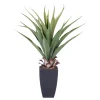 CASA Vera Planta Aloe Vera Verde Sale