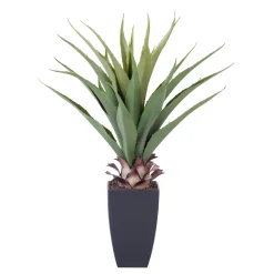 CASA Vera Planta Aloe Vera Verde Sale
